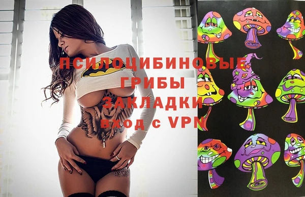 альфа пвп Алексеевка