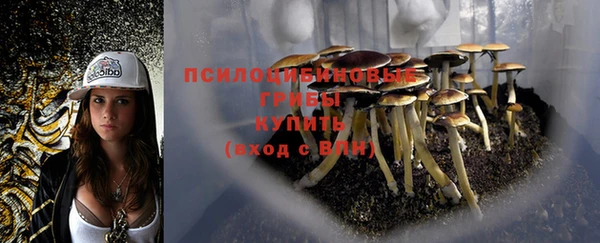 дурь Алексин