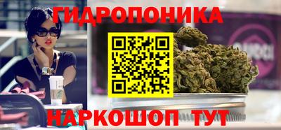 spice Дубна