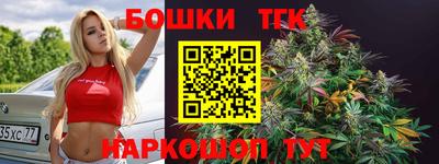 spice Дубна